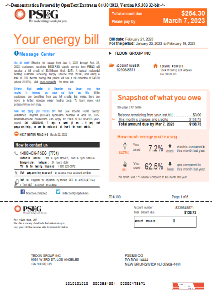 New York PSEG utility business bill,  page 1, SCR PSD template